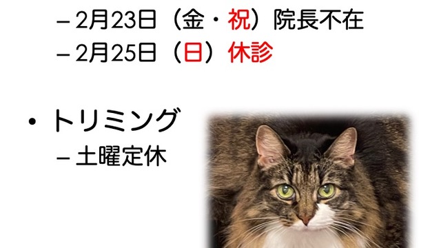 2024年2月の診療情報の画像