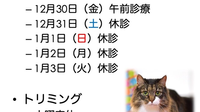 2022年12月の診療情報の画像