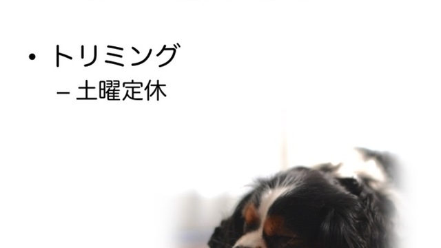 2021年2月の休診情報の画像