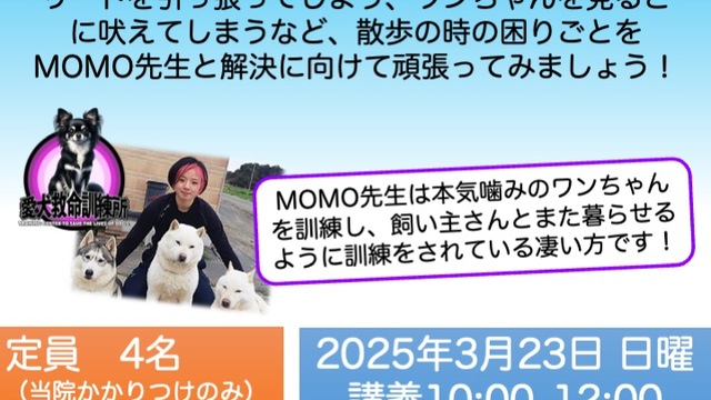 MOMO先生のしつけ教室 vol.1「散歩」の画像