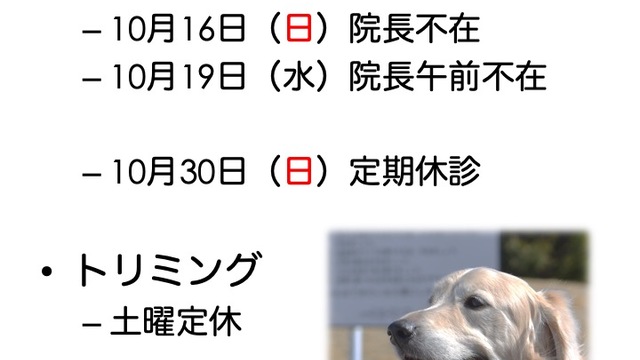 2022年10月の診療情報と値上げについての画像