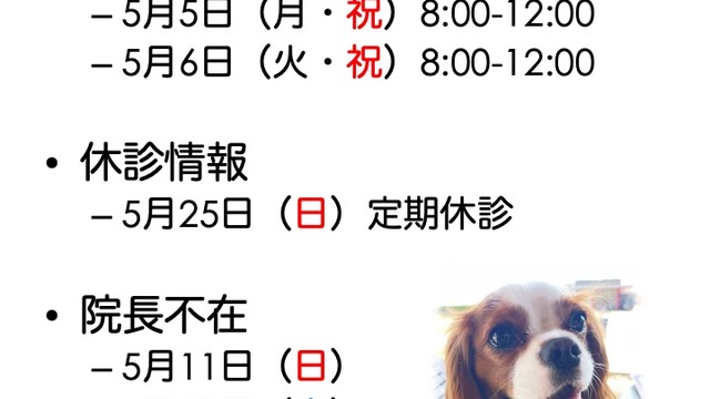 2025年5月の診療情報の画像