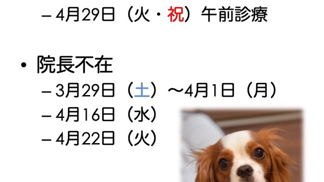 2025年3,4月の診療情報の画像