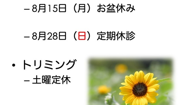 2022年8月の診療情報の画像