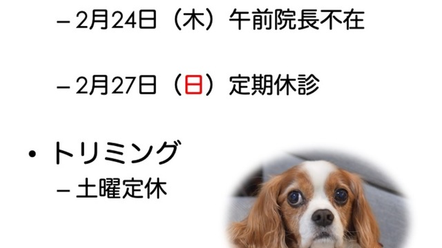 2022年2月の診療情報の画像