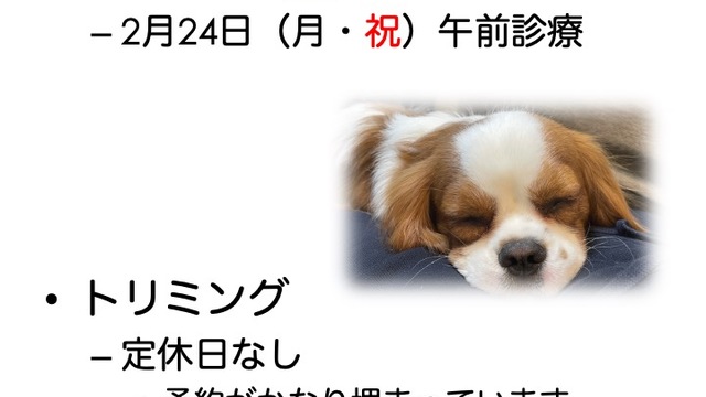 2025年2月の診療情報の画像