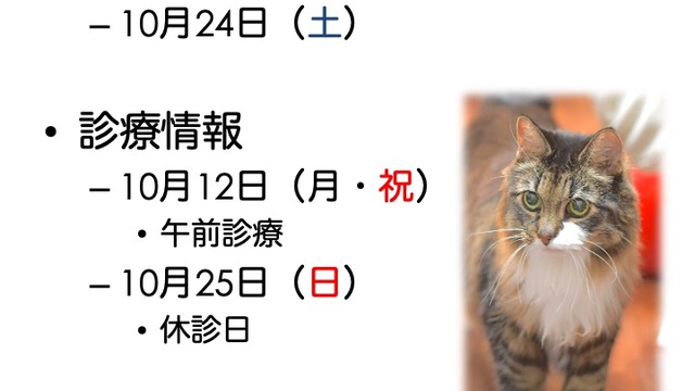 2026年10月の診療情報の画像