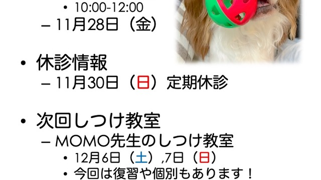2025年11月の診療情報の画像
