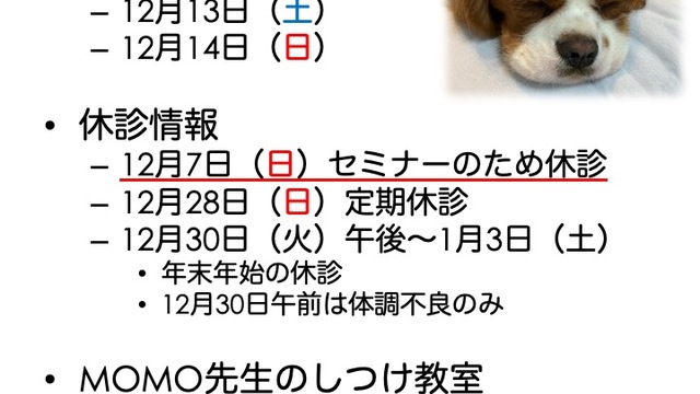 2025年12月の診療情報の画像