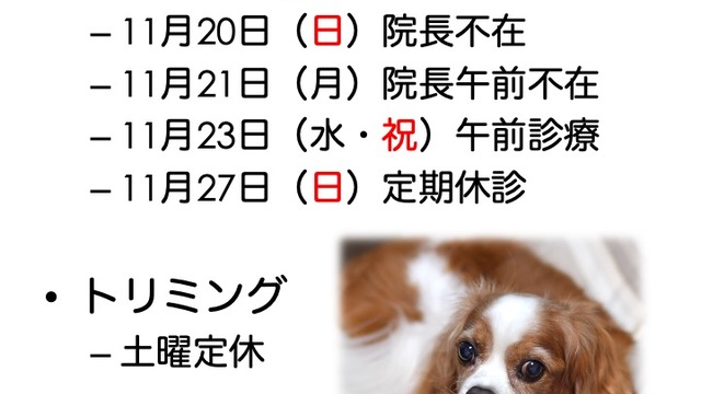 11月の診療情報と値上げについての画像