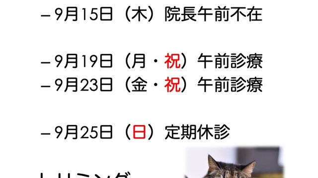 2022年9月の診療情報の画像