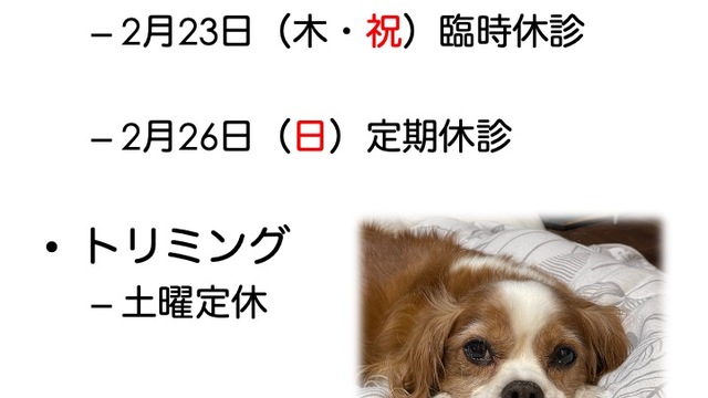2023年2月の診療情報の画像