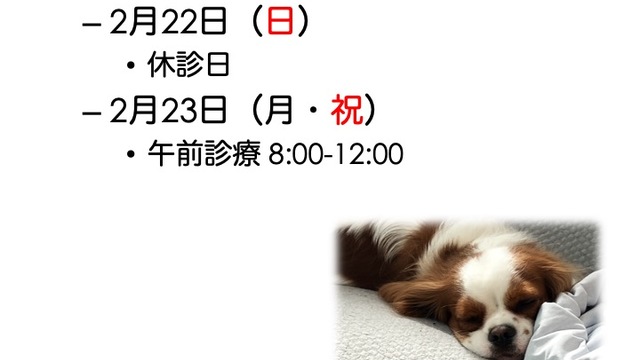 2026年2月の診療情報の画像