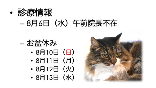 2025年8月の診療情報の画像