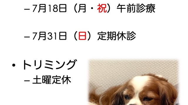 2022年7月の診療情報の画像