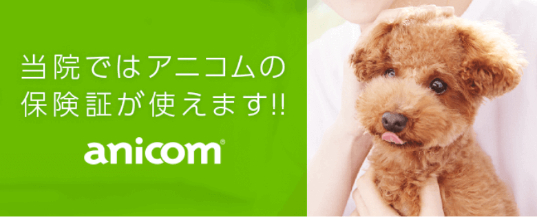 当院ではアニコムの保険証が使えます